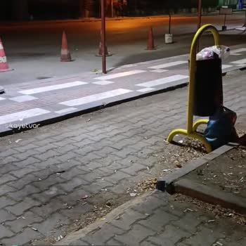 Yeşil Erciş Seyahat Mağduru