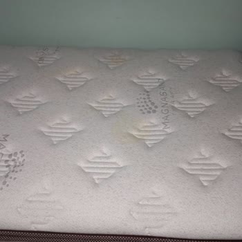 Yüksek Fiyatlı Bambi Yatakta Beklenmedik Sararma Ve Hayal Kırıklığı