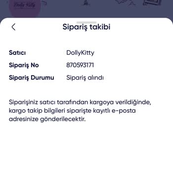 Siparişim 12 Gündür Teslim Edilmedi, Ücret İadesi Talep Ediyorum