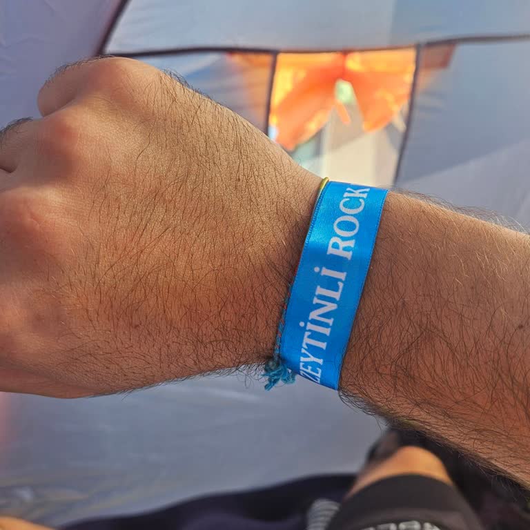 Zeytinli Rock Festivali 2025 Memnuniyetsizliği