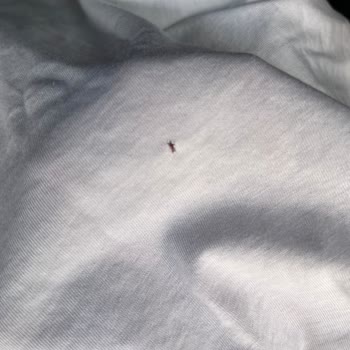 Defolu Ürün İçin Değişim Yapılmadı, Müşteri Mağduriyeti Giderilmedi