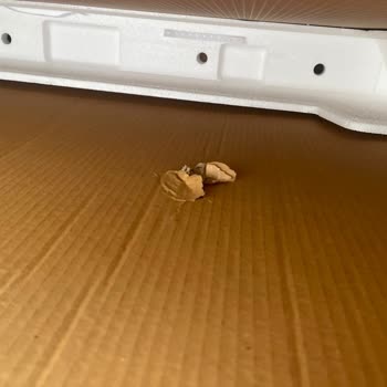 Hasarlı Televizyonun Değişimi İçin 15 Gündür Sonuç Alamıyorum