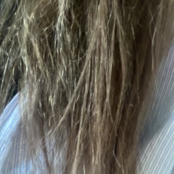 The Most Kuaför Kuaför İşlemi Sonrası Saçlarım Yandı, Ücret İadesi İstiyorum