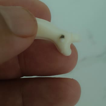 Peynirde Kirlilik Ve Müşteri Hizmetlerine Ulaşılamıyor