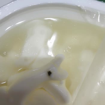 Peynirde Kirlilik Ve Müşteri Hizmetlerine Ulaşılamıyor