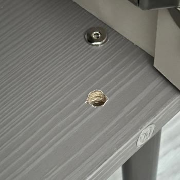 Mondi Home Siparişim Eksik Ve Hasarlı Teslim Edildi Çözüm Bekliyorum