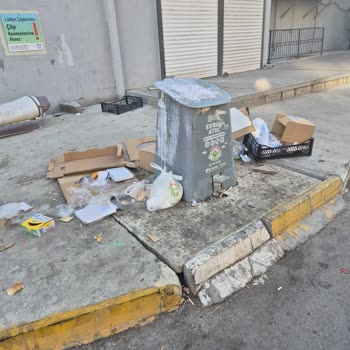 Çamçeşme Mahallesinde Sürekli Çöp Ve Kirlilik Sorunu Mahalleliyi Rahatsız Ediyor