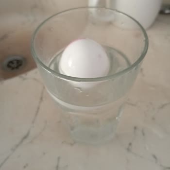 Bozuk Yumurta Satışı Nedeniyle Sağlık Endişesi Ve Mağduriyet