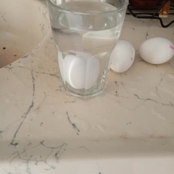 Bozuk Yumurta Satışı Nedeniyle Sağlık Endişesi Ve Mağduriyet