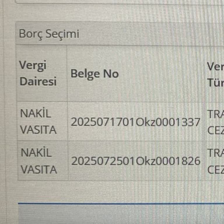 Kiralamadığım Tarihe Ait Ceza Ve İletişimsizlik Mağduriyeti
