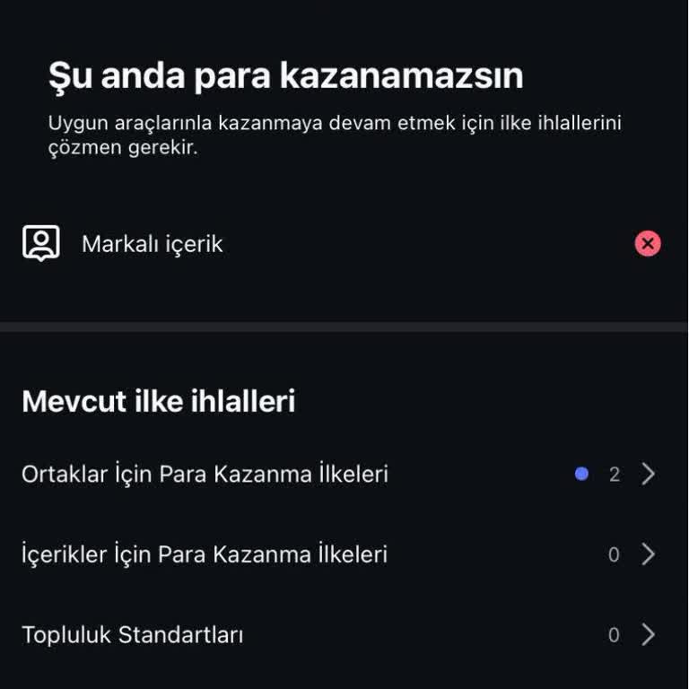Instagram Hesabımda Para Kazanma Özelliği Neden Aktif Olmuyor?