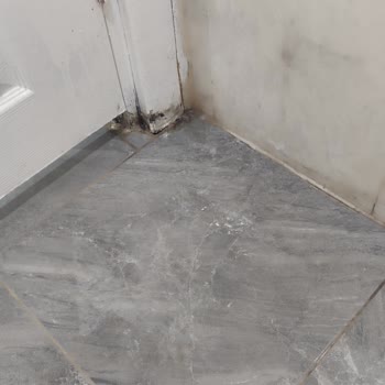 Otel Odasında Kurt Çıktı, Şikayetlerim Dikkate Alınmadı!