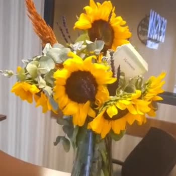 Solmuş Çiçek Teslimatı Ve Yetersiz Çözüm Süreci