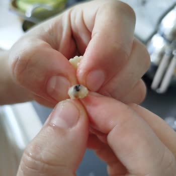 Aldığım Makarna İçinden Böcek Çıktı, Hayal Kırıklığına Uğradım