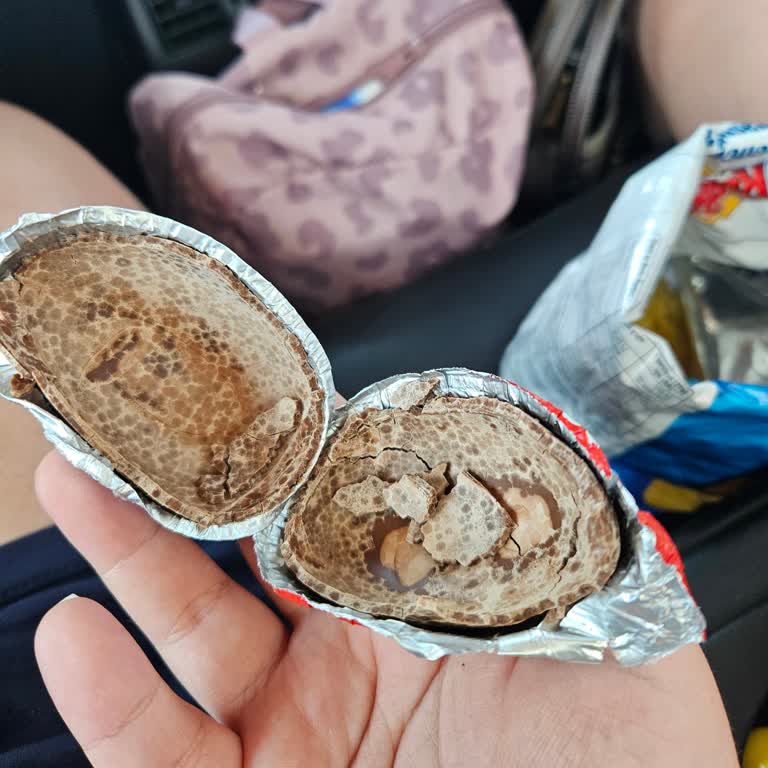 Aldığım Ozmo Yumurta İçi Boş Ve Parçalanmış Çıktı