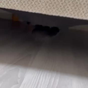 Teslim Edilen Mobilyalarda Ciddi Kusurlar Ve Çözülmeyen Sorunlar