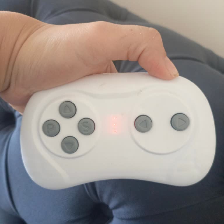 Dolu 8191 Akülü Araba Kumandası İkinci Kullanımda Arızalandı