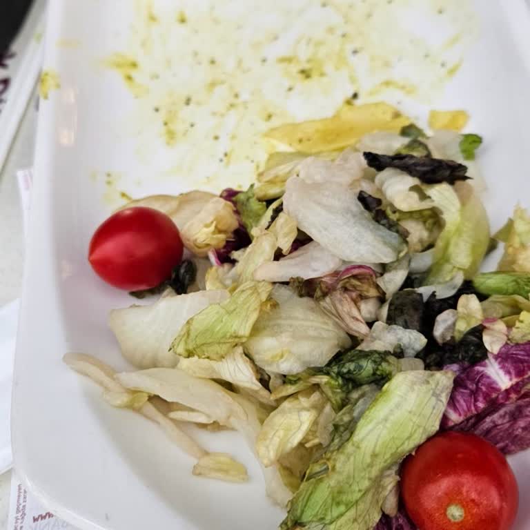 Sürekli Düşük Kalite Ve İlgisizlik: Edirne Erasta Tavuk Dünyası Hayal Kırıklığı