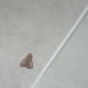 Dairedeki İşçilik Eksikleri 7 Aydır Giderilmiyor, Mağduriyetim Sürüyor