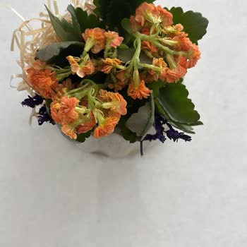 Gönderdiğim Çiçek Solmuş Ve Küçük Geldi, Mağduriyet Yaşıyorum!