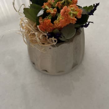 Gönderdiğim Çiçek Solmuş Ve Küçük Geldi, Mağduriyet Yaşıyorum!