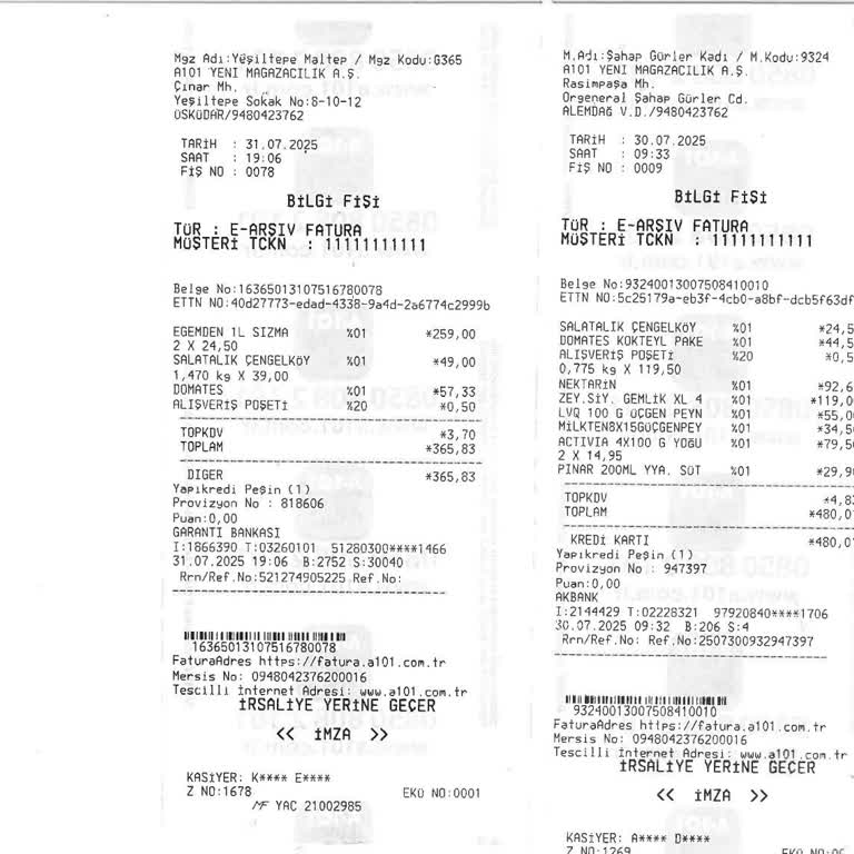 A101'den Alışveriş Sonrası E-arşiv Faturama Erişemiyorum