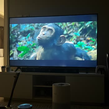 Sıfır Alınan LG Televizyonda Işık Hüzmesi Sorunu Ve Değişim Reddi