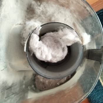 Yeni Alınan Halıların Tüy Dökmesi Ve İade Sürecinde Yaşanan Mağduriyet