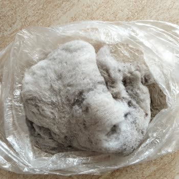 Yeni Alınan Halıların Tüy Dökmesi Ve İade Sürecinde Yaşanan Mağduriyet