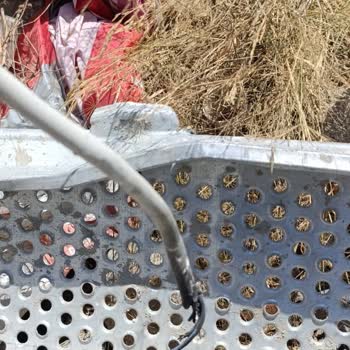 Elektrik Kesintisi Sonucu Mağduriyet Ve Maddi Zarar