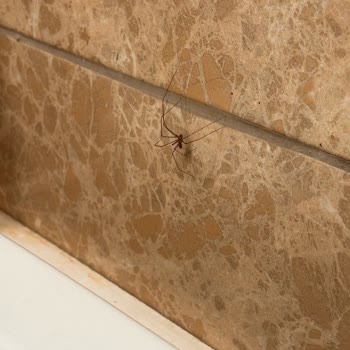 Otel Temizlik Ve Güvenlik Sorunları Nedeniyle Erken Çıkış Ve Ücret İadesi Talebi