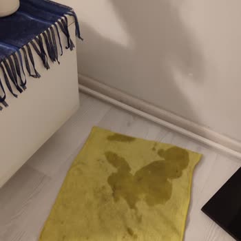 Klimada Sürekli Su Akıtma Ve Çözülmeyen Arıza Nedeniyle Mağduriyet