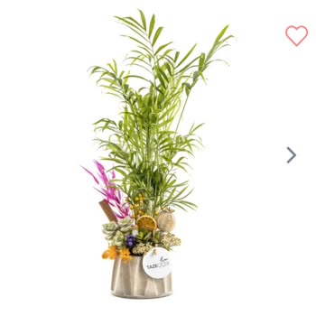 Kırık Ve Eksik Teraryum, İlgisiz Müşteri Hizmetleri Ve İade Sorunu