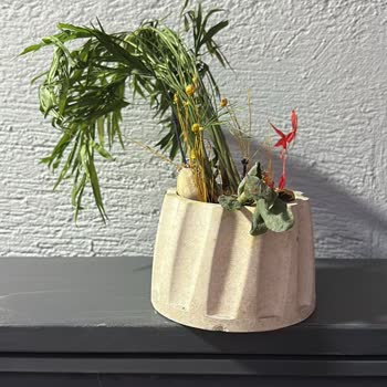 Kırık Ve Eksik Teraryum, İlgisiz Müşteri Hizmetleri Ve İade Sorunu