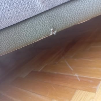 Beydüz Nakliyat Birçok Eşyamızda Hasar Oluştu