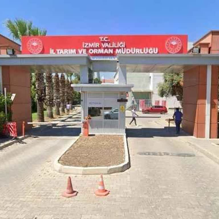 Bilgi Edinme Hakkım Engellendi: İzmir Körfezi'ndeki Balık Ölümleri Hakkında Açıklama Bekliyorum