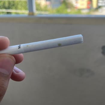 Aldığım Marlboro Edge Sigaralarda Dal Parçaları Ve Sarı Lekeler Var