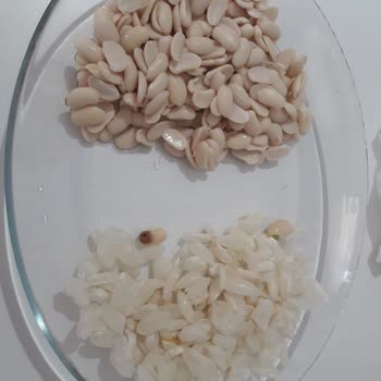 Satın Aldığım Kuru Fasulyede Kalite Sorunu Ve Müşteri Hizmetlerinden Dönüş Alamama