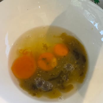 S.S. Organik Gıda Tarım Ürünleri Kooperatifi Bozuk Yumurta