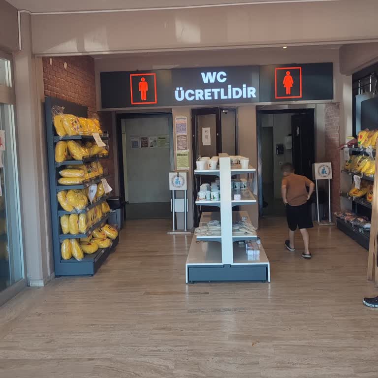 Ücretli Tuvalet Uygulaması Yolculuk Deneyimini Zedeliyor