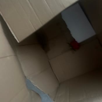 Ezilmiş Koli Ve Zarar Gören Ürünler İçin Aras Kargo'dan Çözüm Bekliyorum