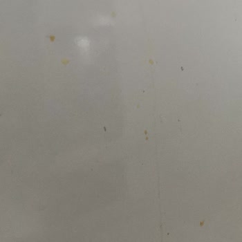 Temizlik Yapılmadı, Ücret İadesi Talebime Dönüş Yapılmıyor