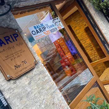 Restoranda Kedilerden Kaynaklı Güvenlik Ve Hijyen Sorunu: Kuduz Riski Yaşadım