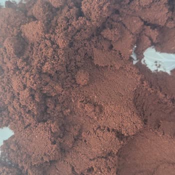 Kahve Paketinde Böcek Ve Kurt Çıkması Nedeniyle Hayal Kırıklığı Ve İade Talebi