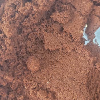 Kahve Paketinde Böcek Ve Kurt Çıkması Nedeniyle Hayal Kırıklığı Ve İade Talebi