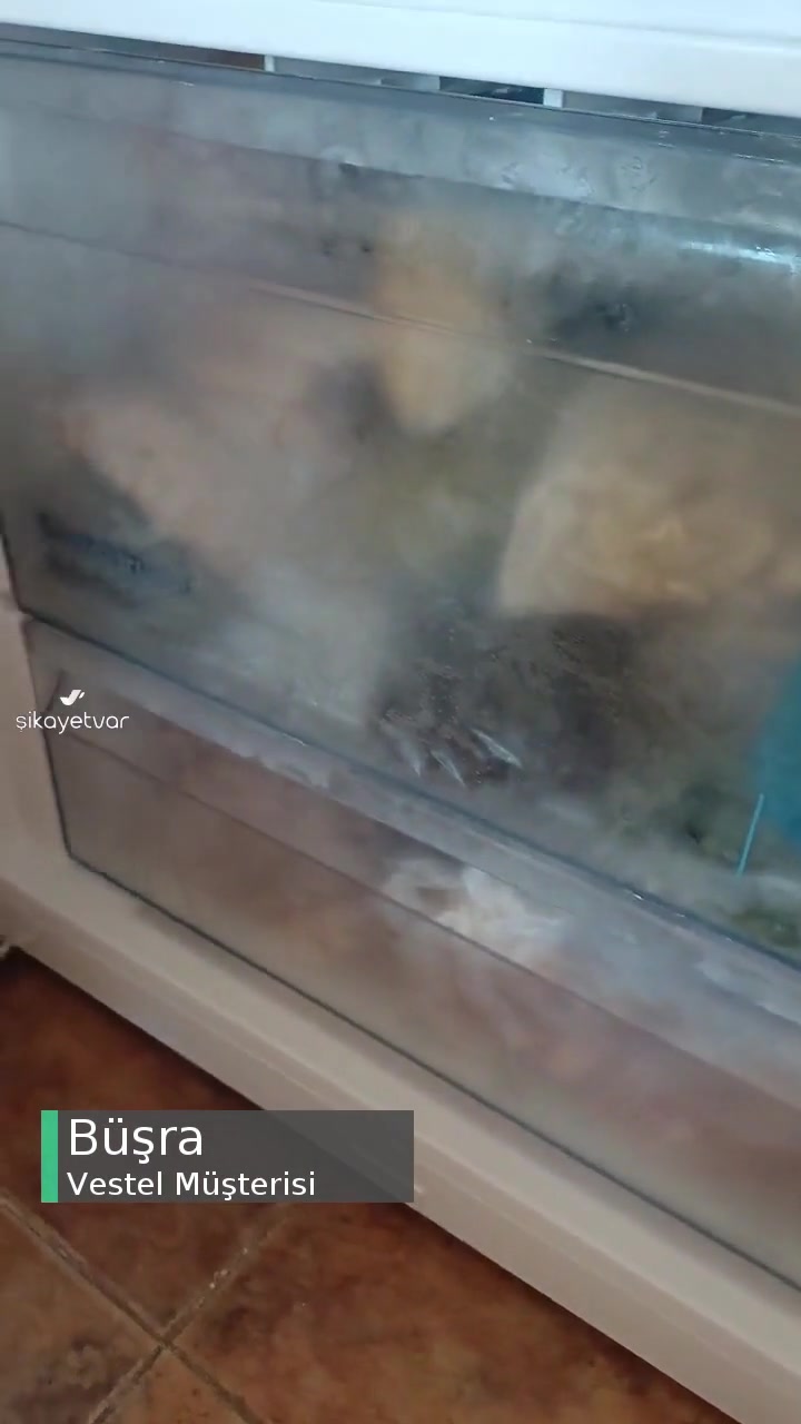 Vestel No Frost Buzdolabı 1 Ayda Arıza Verdi videonun kapak resmi