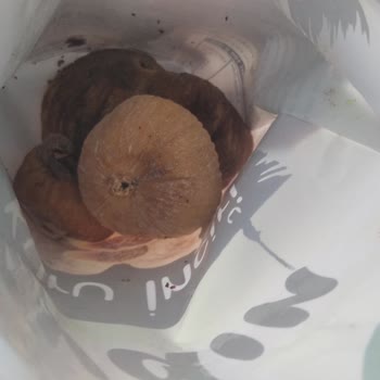 Kurtlu Ürün Ve İade Talebine Cevap Verilmedi