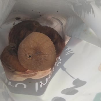 Kurtlu Ürün Ve İade Talebine Cevap Verilmedi