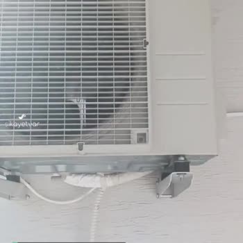 Daikin Klima Sesli Çalışıyor