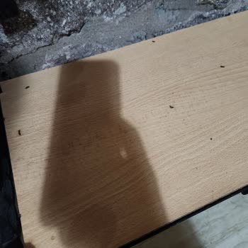 Leb-i Derya Taş Ev Evi Görünce Resmen Hayal Kırıklığına Uğradık